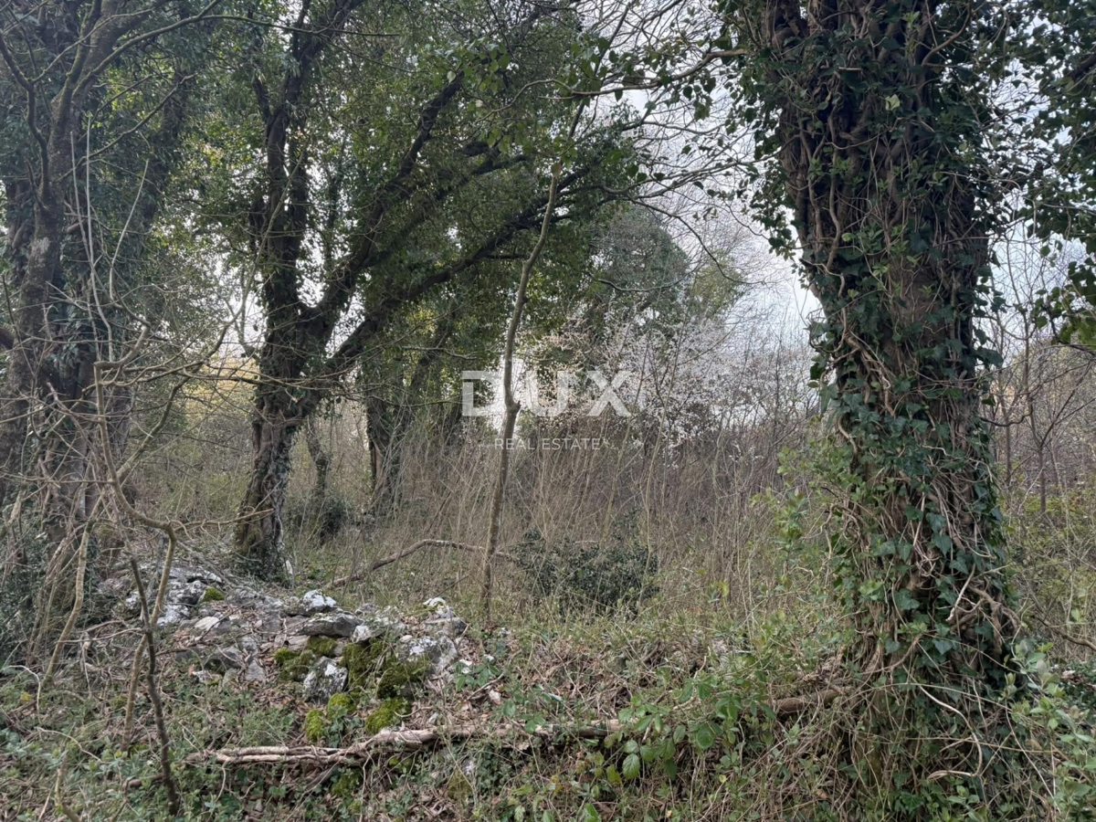 Zemljišče Labin, 219m2