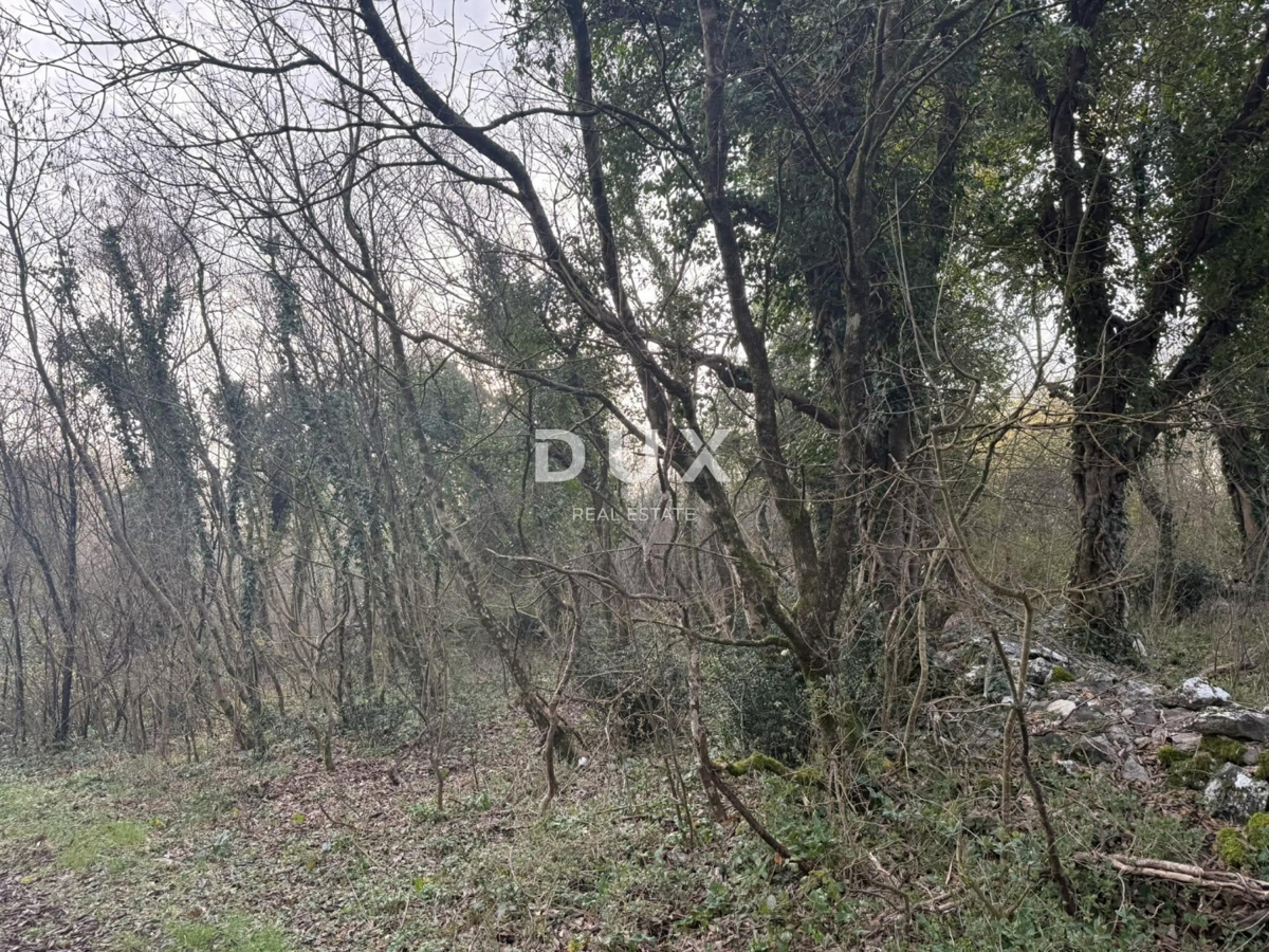 Zemljišče Labin, 219m2