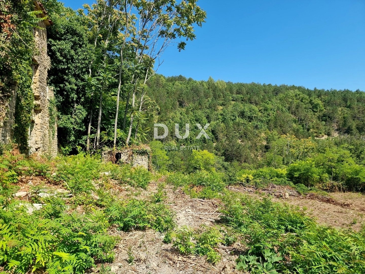 ISTRA, GROŽNJAN - Osamljena posest s panoramskim razgledom