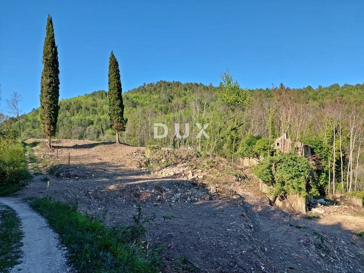 ISTRA, GROŽNJAN - Osamljena posest s panoramskim razgledom