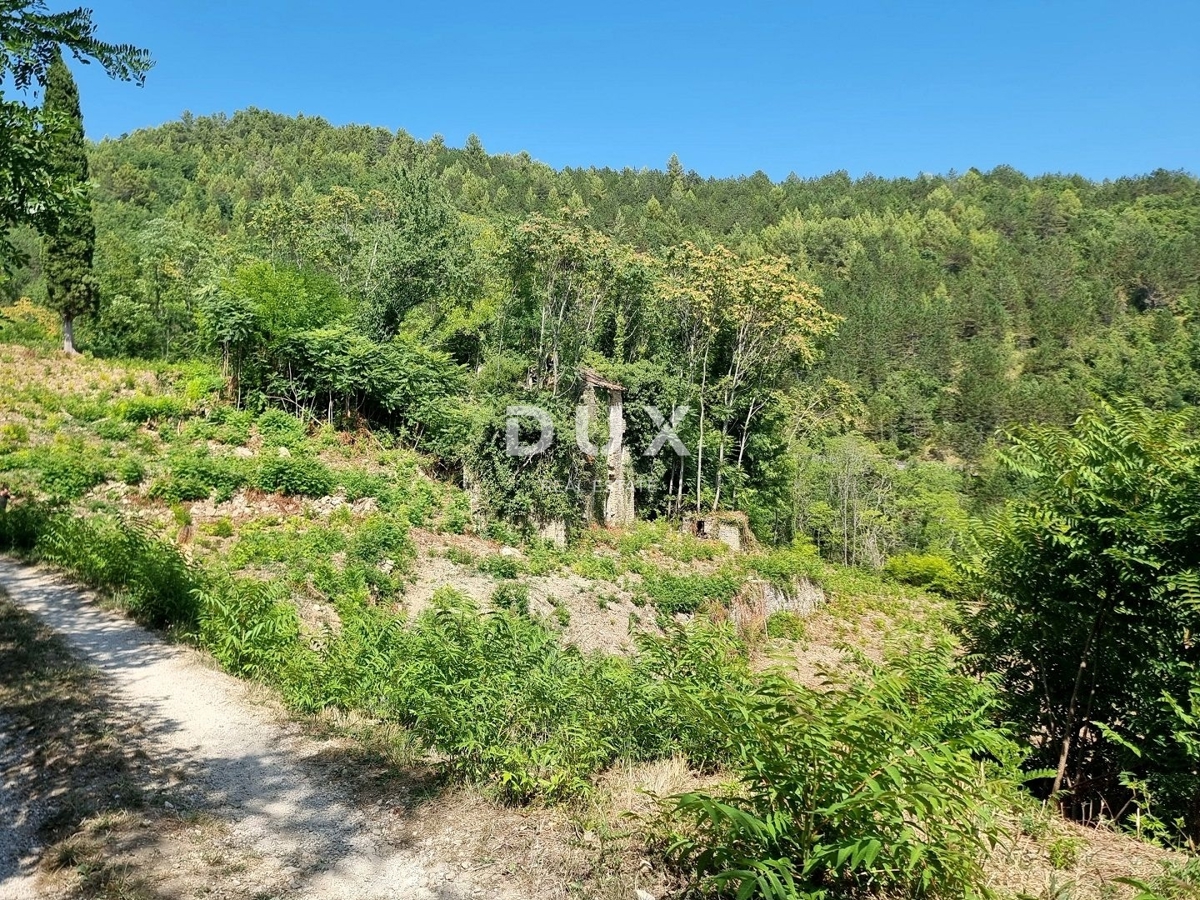 ISTRA, GROŽNJAN - Osamljena posest s panoramskim razgledom