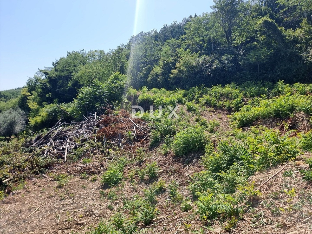 ISTRA, GROŽNJAN - Osamljena posest s panoramskim razgledom