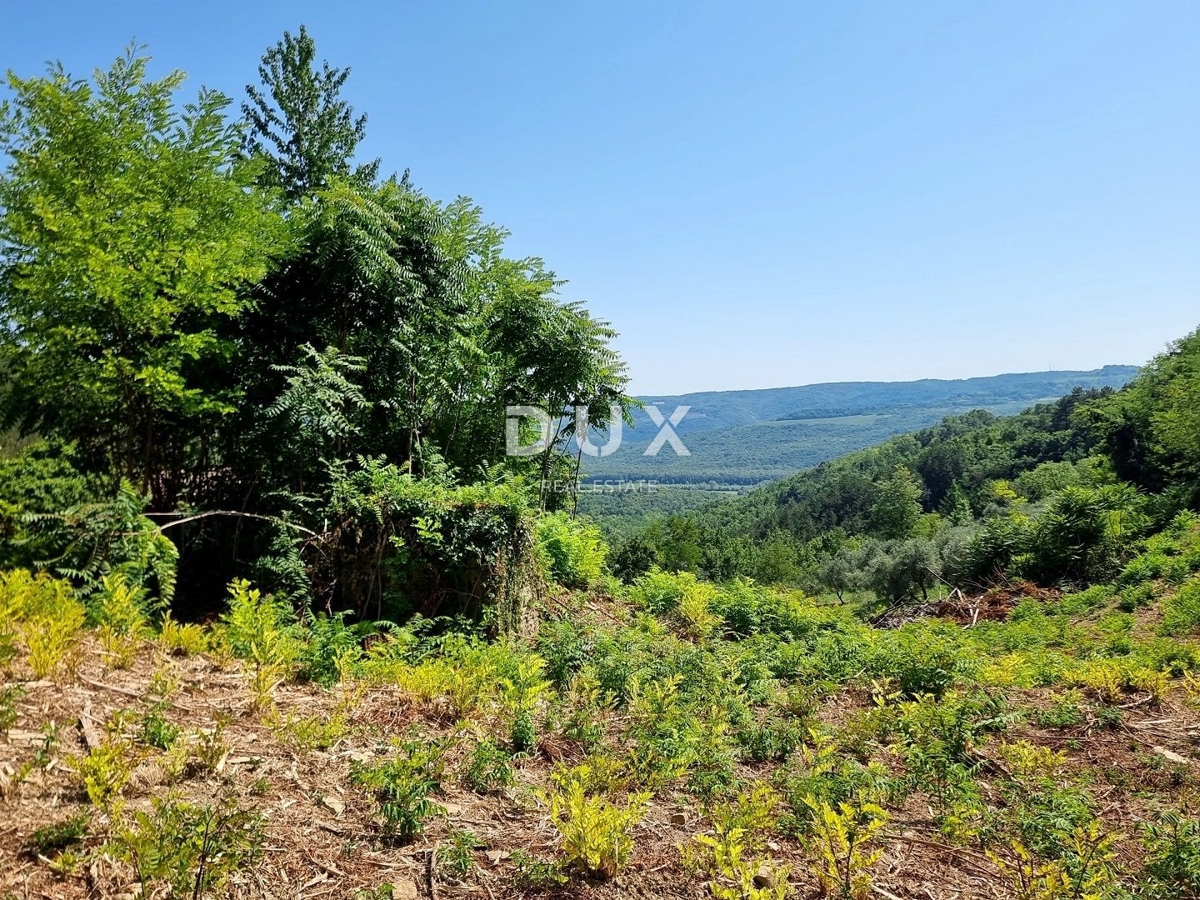 ISTRA, GROŽNJAN - Osamljena posest s panoramskim razgledom