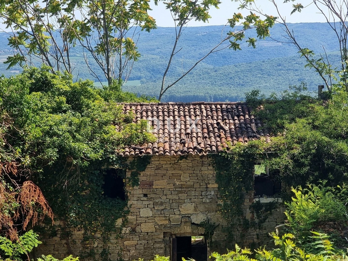 ISTRA, GROŽNJAN - Osamljena posest s panoramskim razgledom