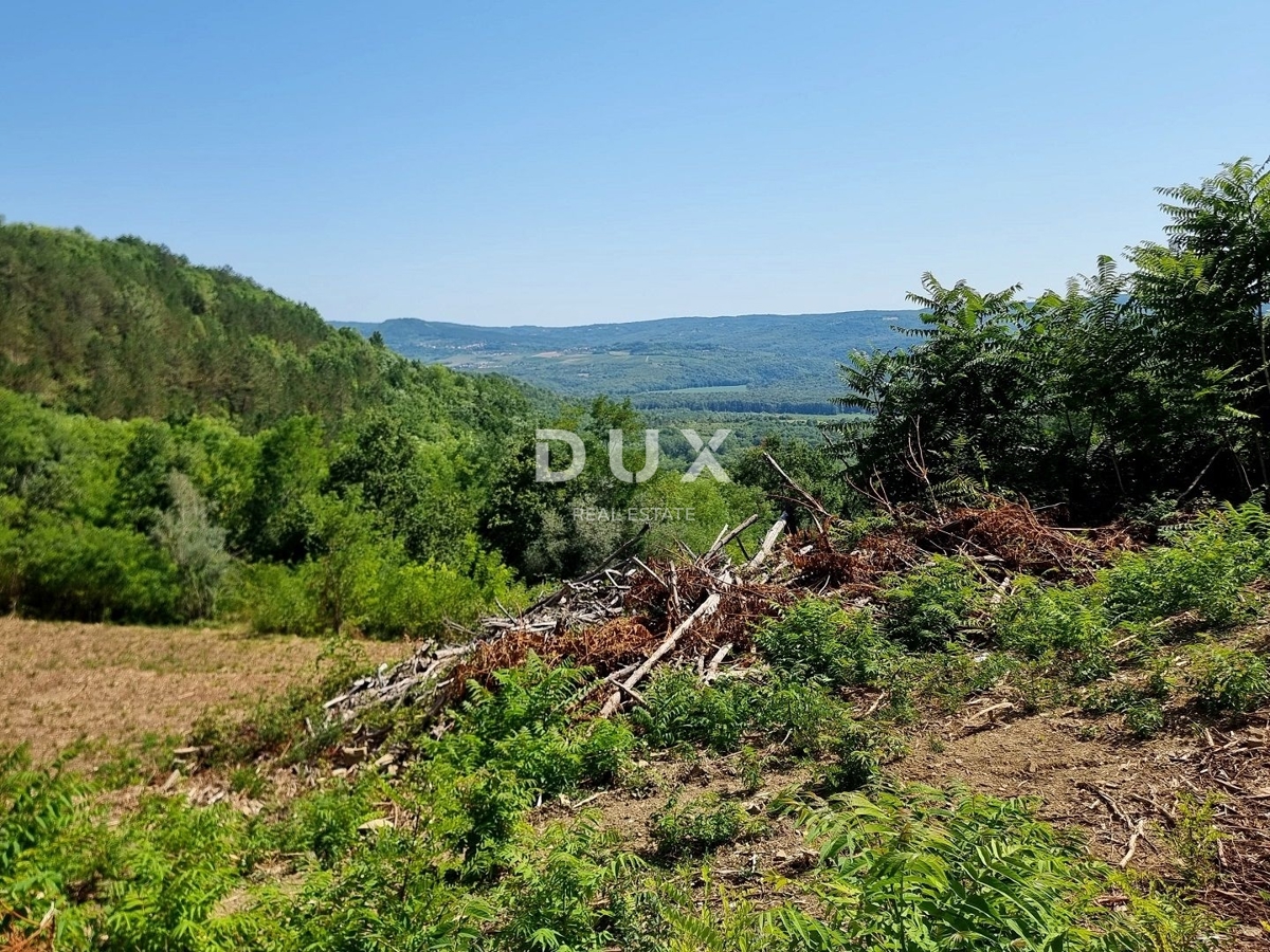ISTRA, GROŽNJAN - Osamljena posest s panoramskim razgledom
