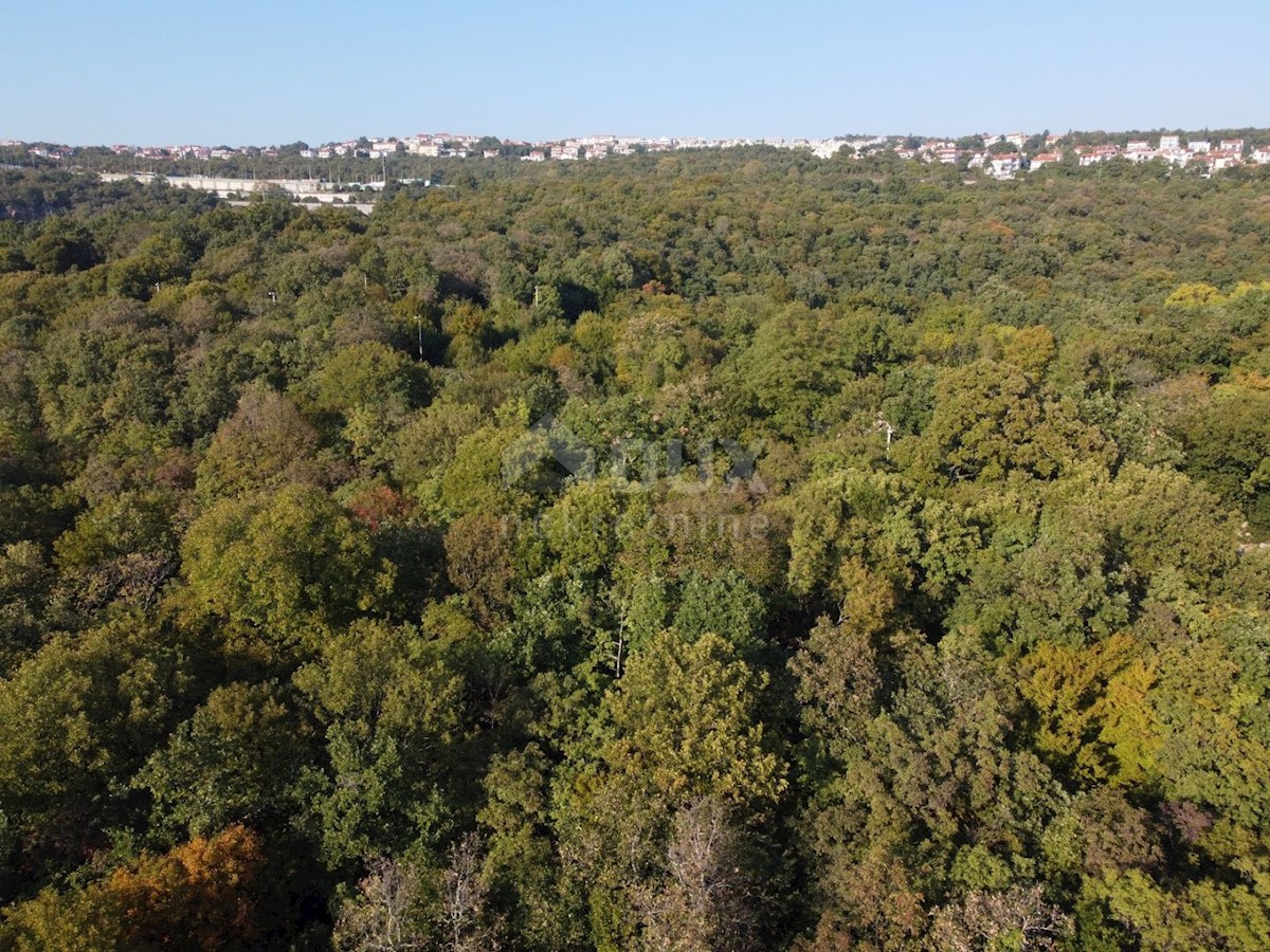 COSTABELLA, BIVIO- gradbeno zemljišče 3530m2 s pogledom na morje za družinsko hišo / vilo / stanovanjsko hišo - apartmaji - apartmaji / hiša za najem - počitnice z bazenom