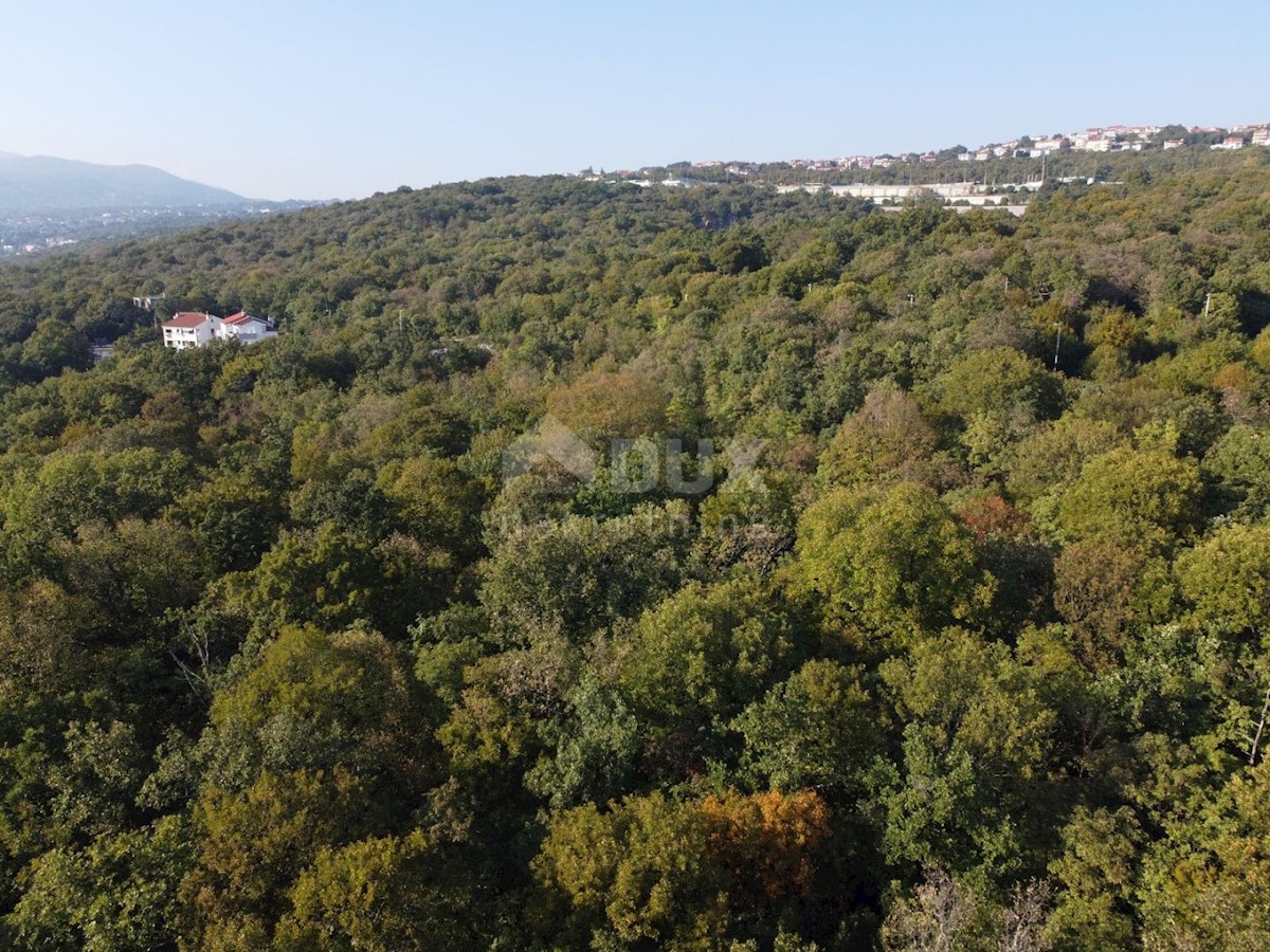 COSTABELLA, BIVIO- gradbeno zemljišče 3530m2 s pogledom na morje za družinsko hišo / vilo / stanovanjsko hišo - apartmaji - apartmaji / hiša za najem - počitnice z bazenom