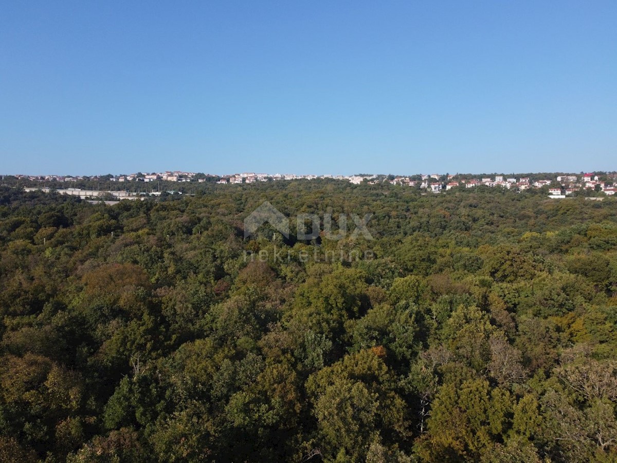 COSTABELLA, BIVIO- gradbeno zemljišče 3530m2 s pogledom na morje za družinsko hišo / vilo / stanovanjsko hišo - apartmaji - apartmaji / hiša za najem - počitnice z bazenom