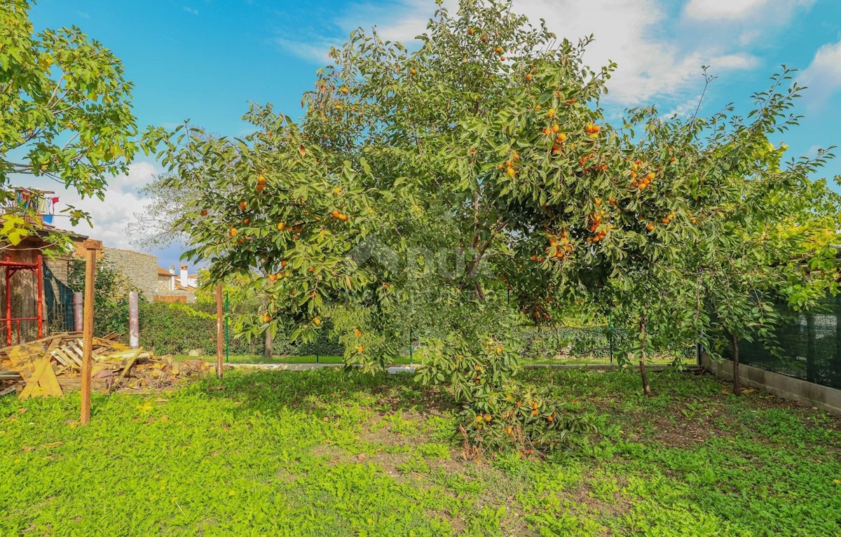 Brtonigla, 508m2