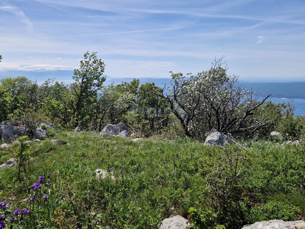 CRIKVENICA - Zemljišče za gradnjo fotovoltaične elektrarne/ športno-rekreacijskega objekta/ zdraviliško turističnega objekta