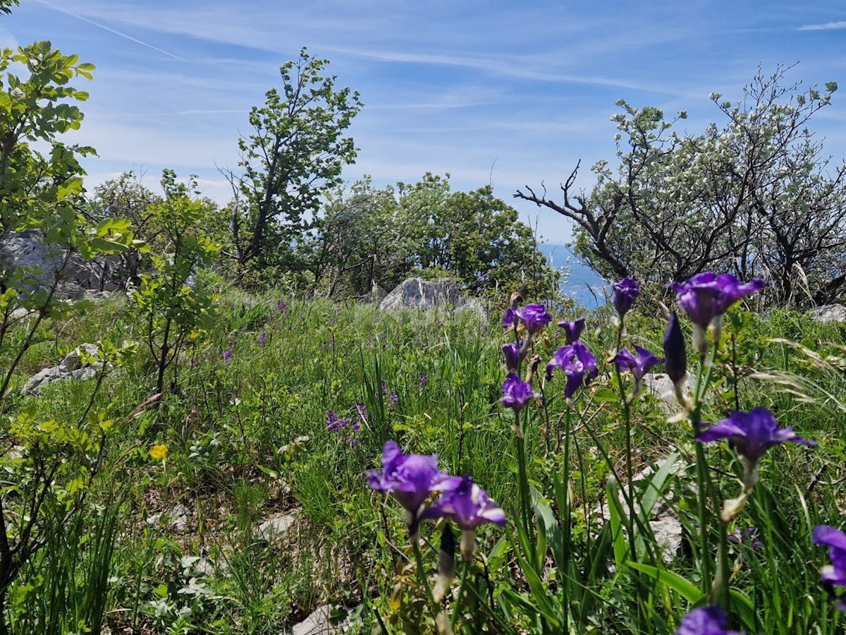 CRIKVENICA - Zemljišče za gradnjo fotovoltaične elektrarne/ športno-rekreacijskega objekta/ zdraviliško turističnega objekta