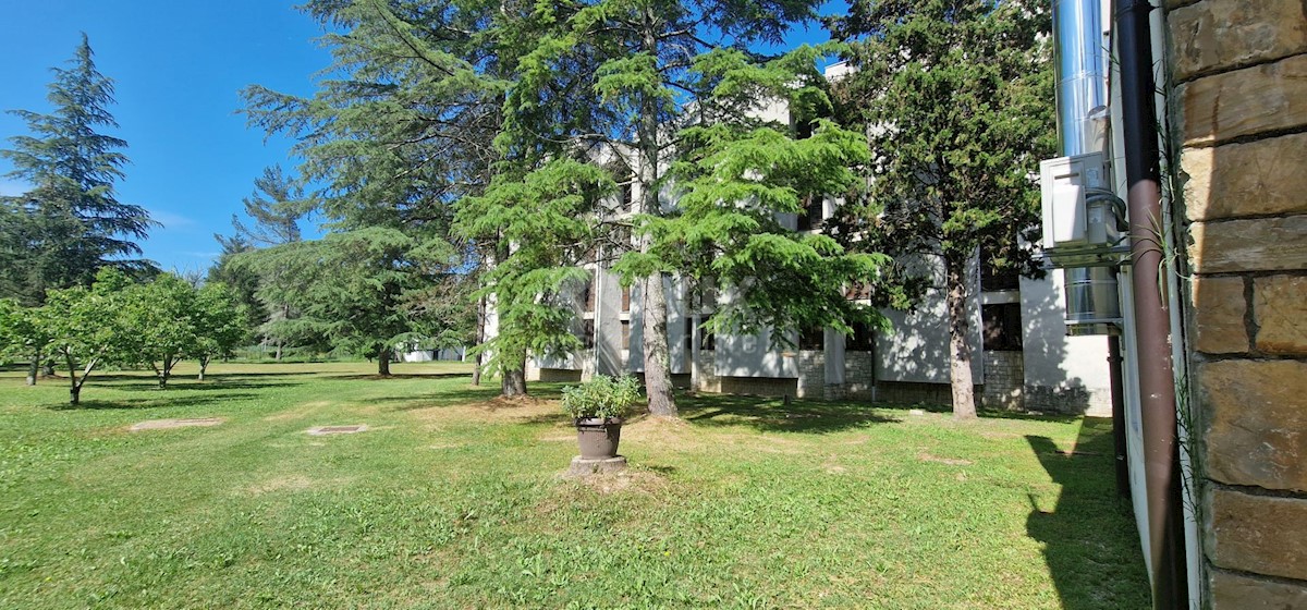 Livade, Oprtalj, 15.000m2