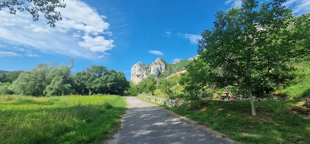 Livade, Oprtalj, 15.000m2