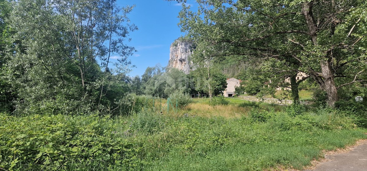 Livade, Oprtalj, 15.000m2