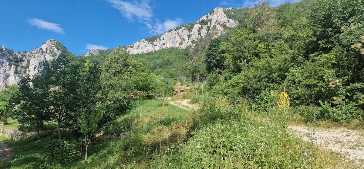 Livade, Oprtalj, 15.000m2