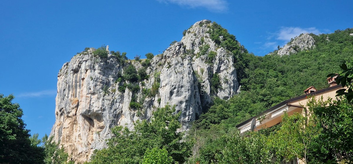 Livade, Oprtalj, 15.000m2