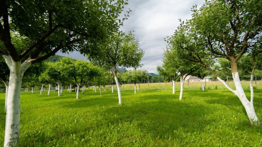 GORSKI KOTAR, BROD NA KUPI - Zazidljivo zemljišče 1960m2!