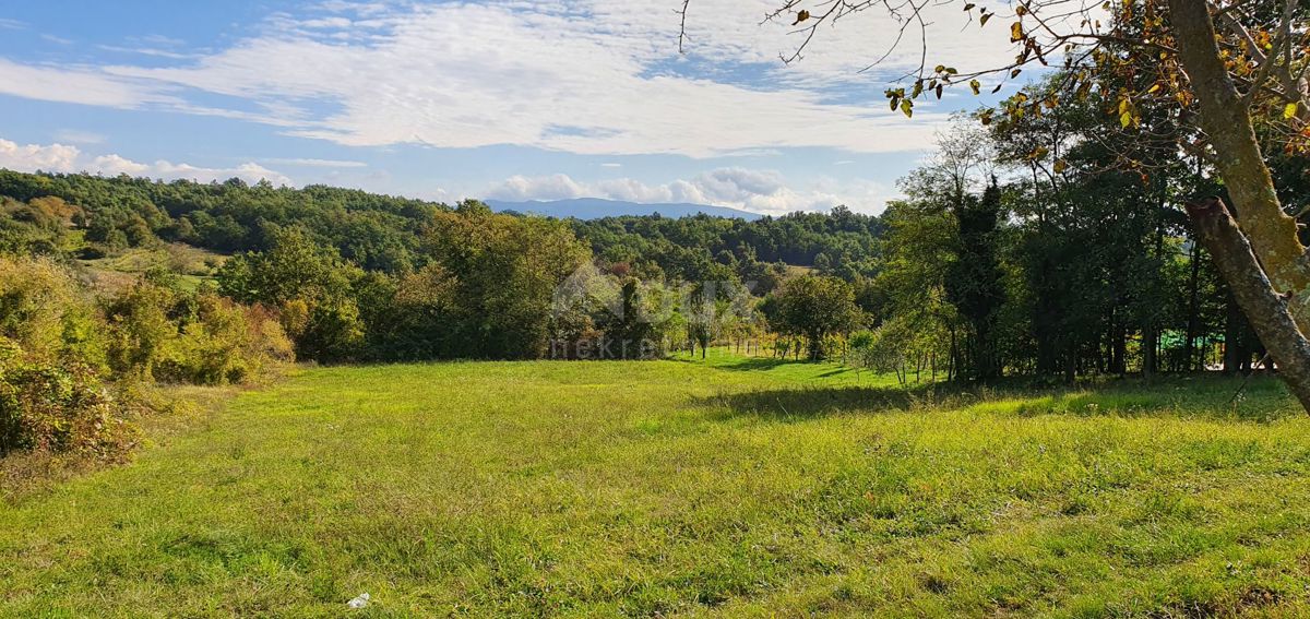 ISTRA, GRAČIŠĆE - Kompleks zemljišč na odlični lokaciji z lepim razgledom 