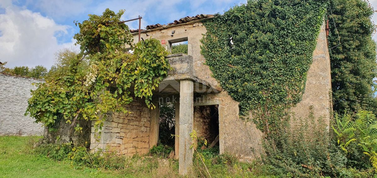 ISTRA, GRAČIŠĆE - Kompleks zemljišč na odlični lokaciji z lepim razgledom 