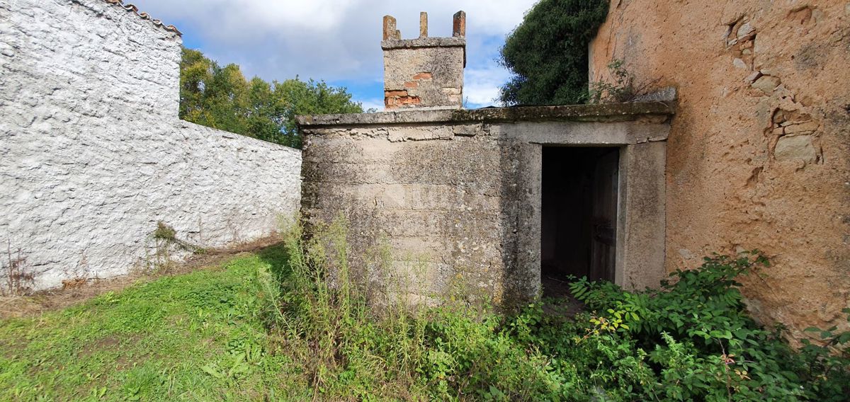 ISTRA, GRAČIŠĆE - Kompleks zemljišč na odlični lokaciji z lepim razgledom 