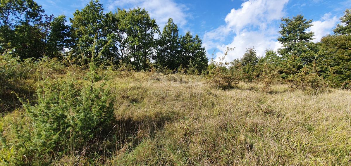 ISTRA, GRAČIŠĆE - Kompleks zemljišč na odlični lokaciji z lepim razgledom 