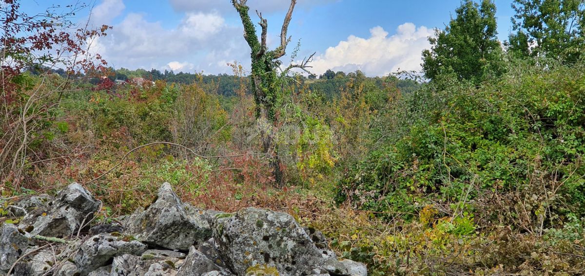 ISTRA, GRAČIŠĆE - Kompleks zemljišč na odlični lokaciji z lepim razgledom 