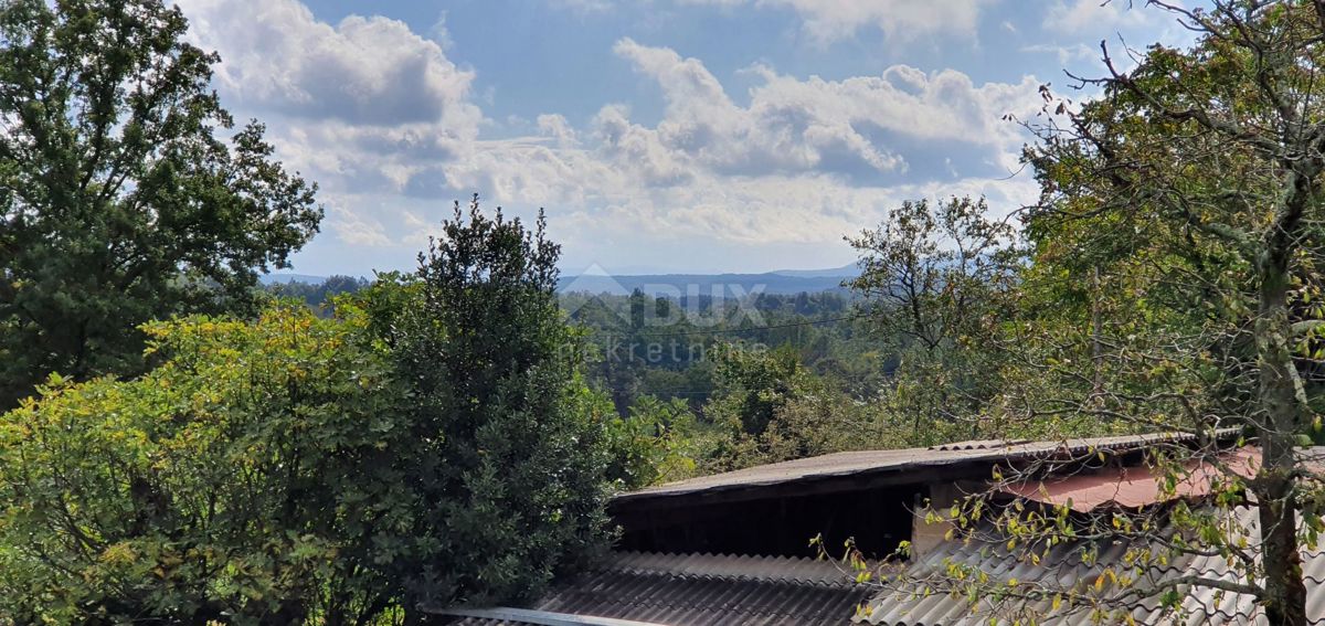 ISTRA, GRAČIŠĆE - Kompleks zemljišč na odlični lokaciji z lepim razgledom 