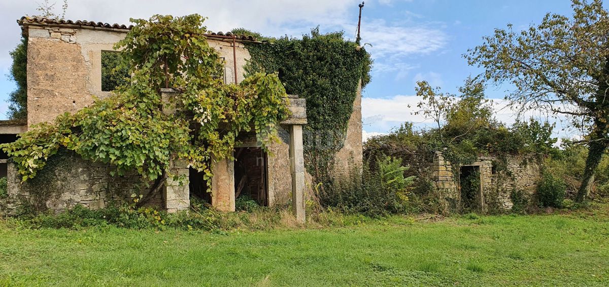 ISTRA, GRAČIŠĆE - Kompleks zemljišč na odlični lokaciji z lepim razgledom 