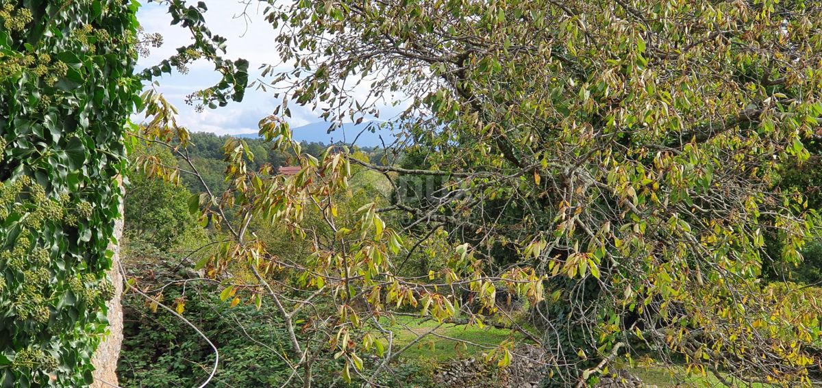 ISTRA, GRAČIŠĆE - Kompleks zemljišč na odlični lokaciji z lepim razgledom 