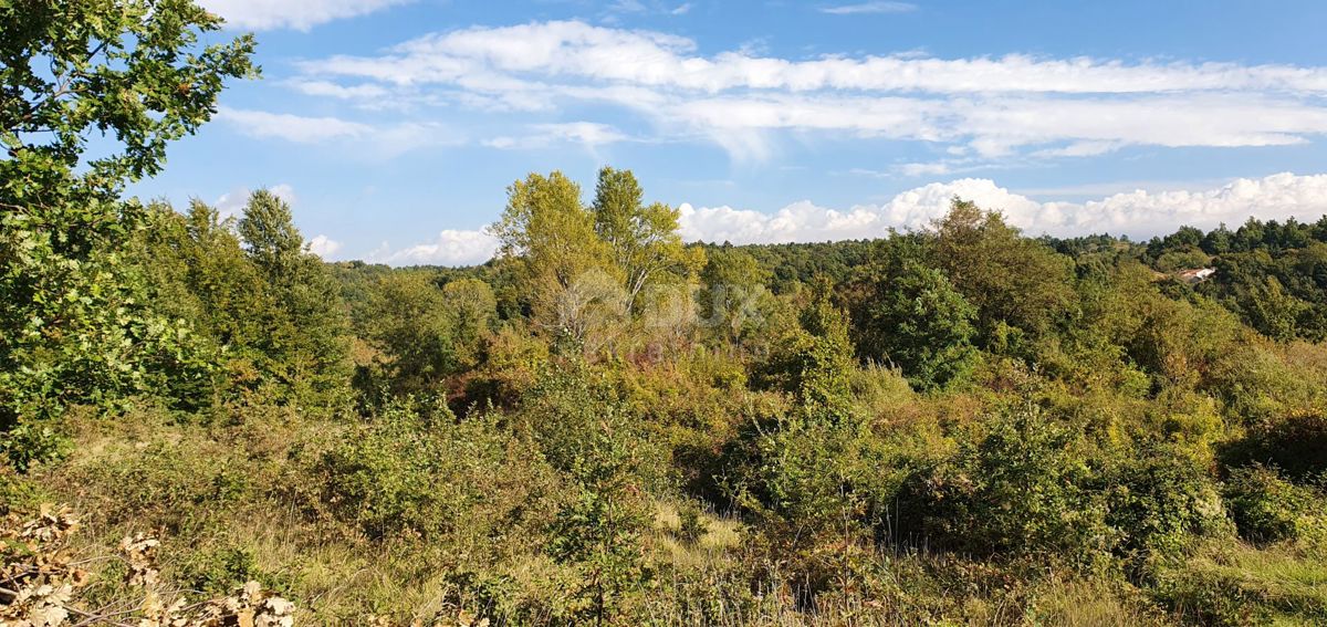 ISTRA, GRAČIŠĆE - Kompleks zemljišč na odlični lokaciji z lepim razgledom 