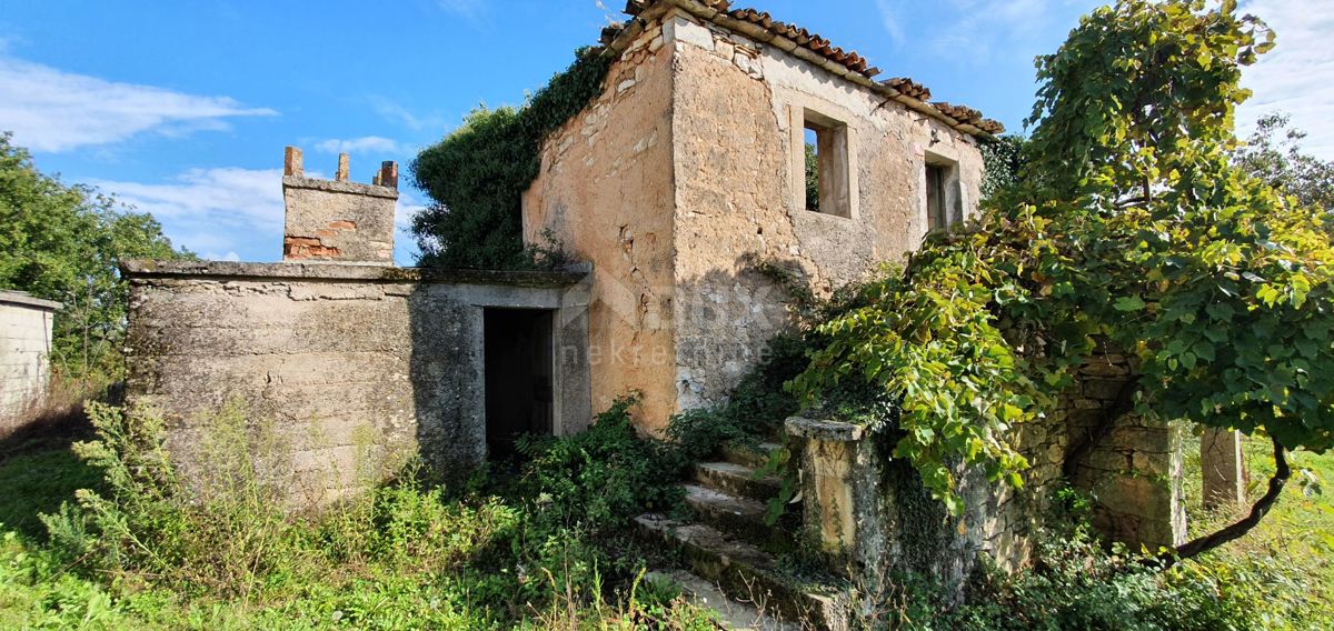 ISTRA, GRAČIŠĆE - Kompleks zemljišč na odlični lokaciji z lepim razgledom 