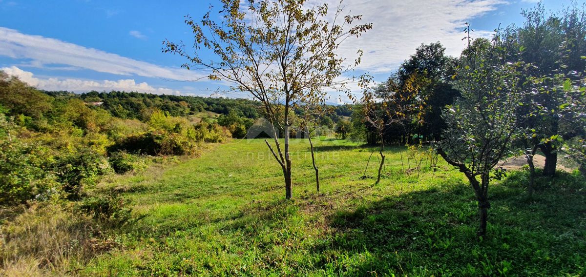 ISTRA, GRAČIŠĆE - Kompleks zemljišč na odlični lokaciji z lepim razgledom 