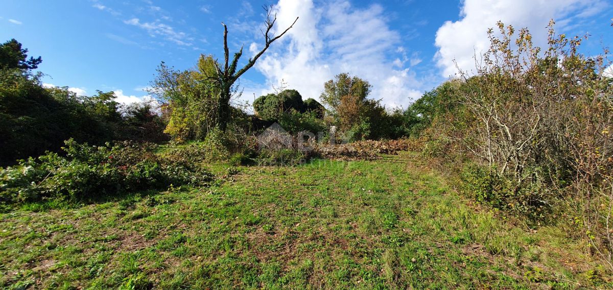 ISTRA, GRAČIŠĆE - Kompleks zemljišč na odlični lokaciji z lepim razgledom 