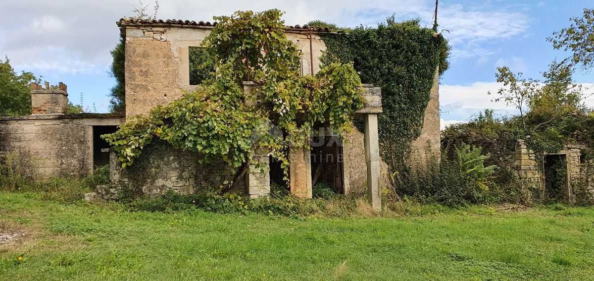 ISTRA, GRAČIŠĆE - Kompleks zemljišč na odlični lokaciji z lepim razgledom 