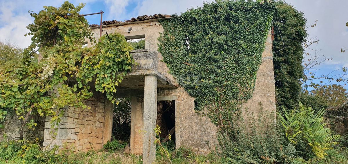 ISTRA, GRAČIŠĆE - Kompleks zemljišč na odlični lokaciji z lepim razgledom 