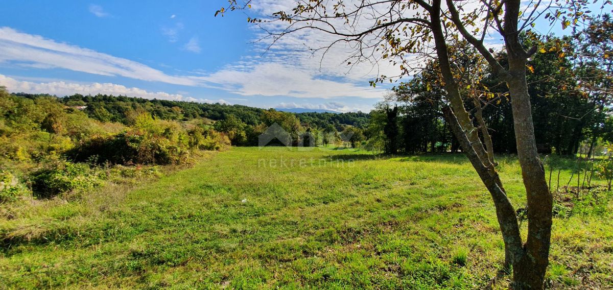 ISTRA, GRAČIŠĆE - Kompleks zemljišč na odlični lokaciji z lepim razgledom 