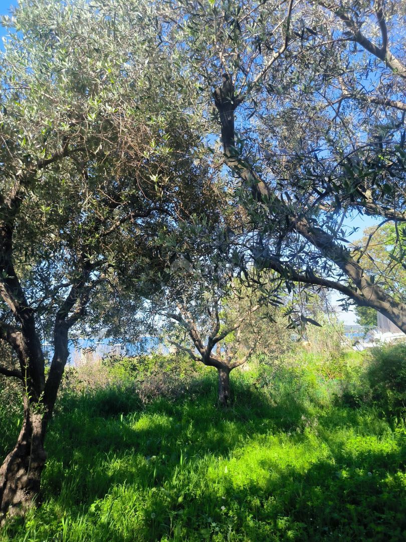 ISTRA, MEDULIN Gradbeno zemljišče prva vrsta do morja za vilo!