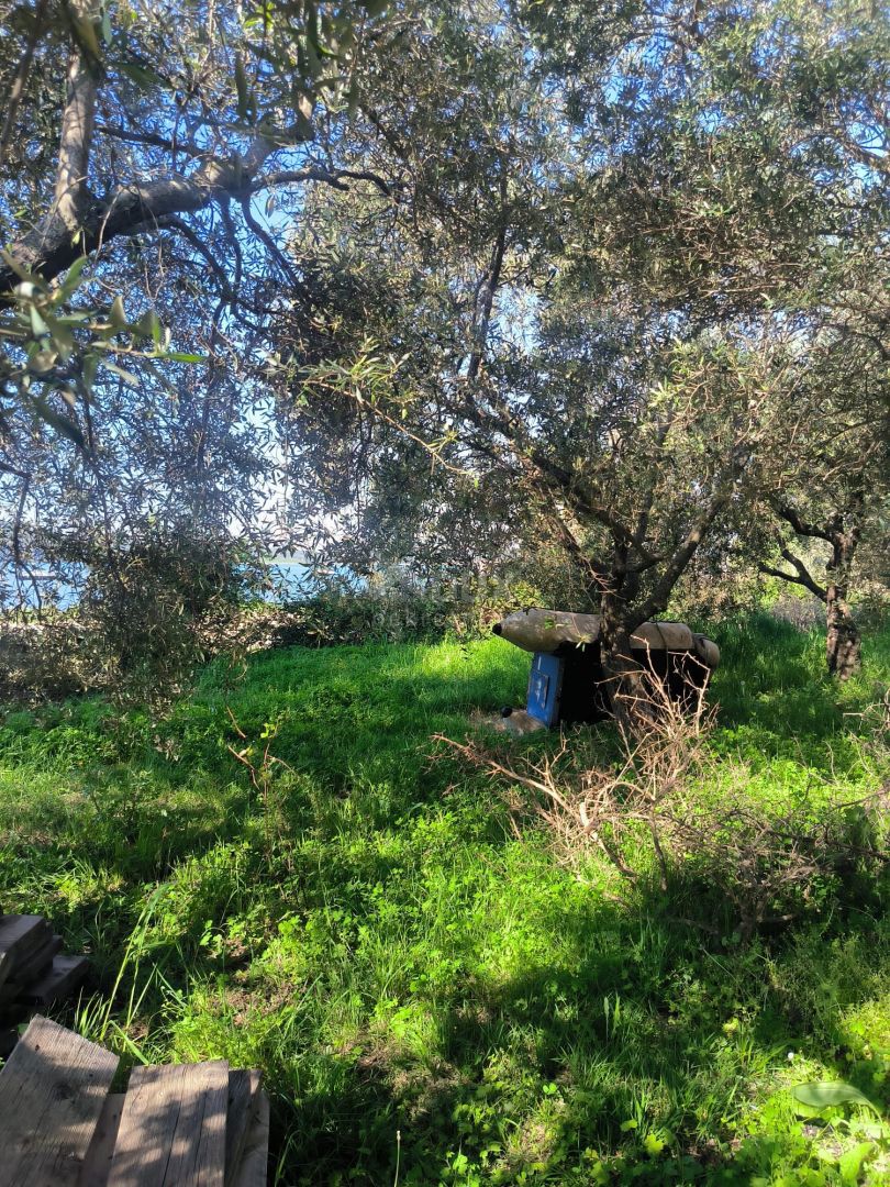 ISTRA, MEDULIN Gradbeno zemljišče prva vrsta do morja za vilo!