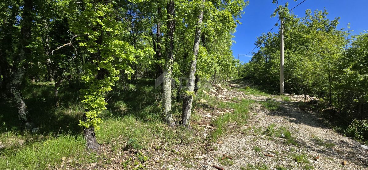 Pićan, 3.454m2