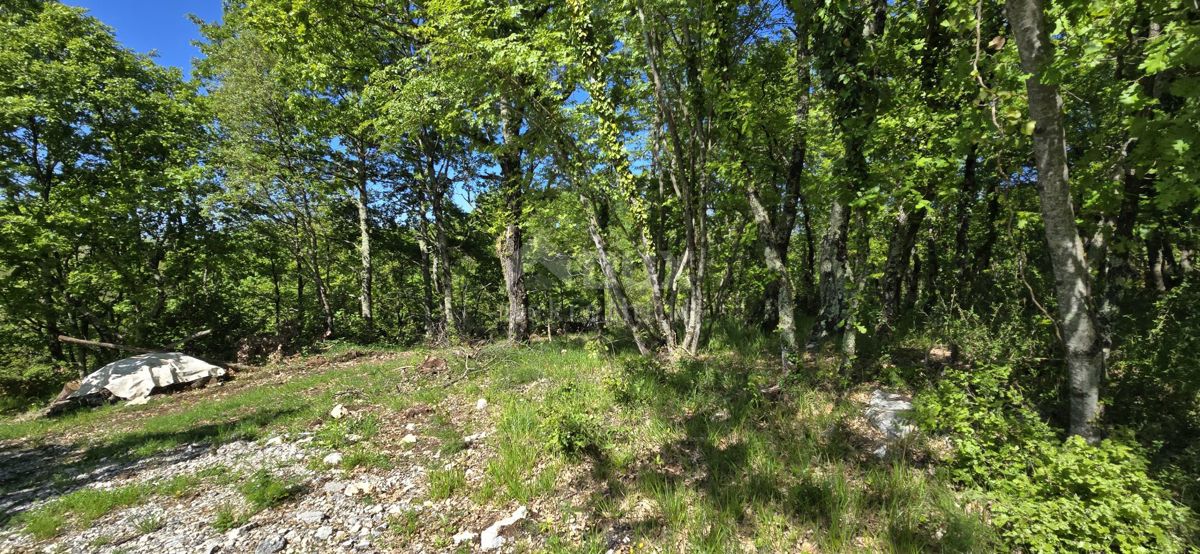 Pićan, 3.454m2