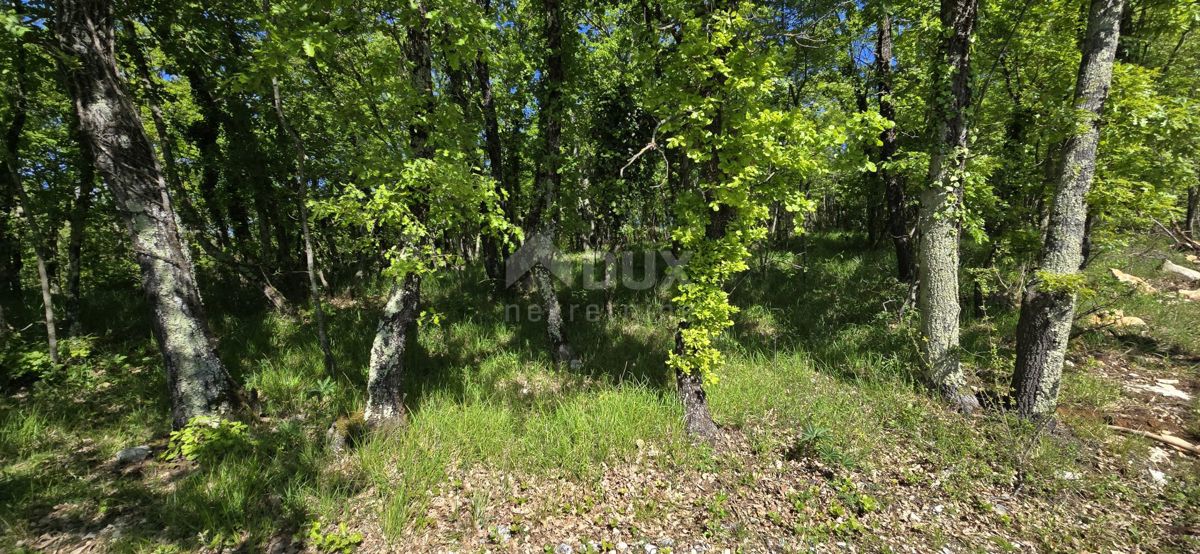 Pićan, 3.454m2