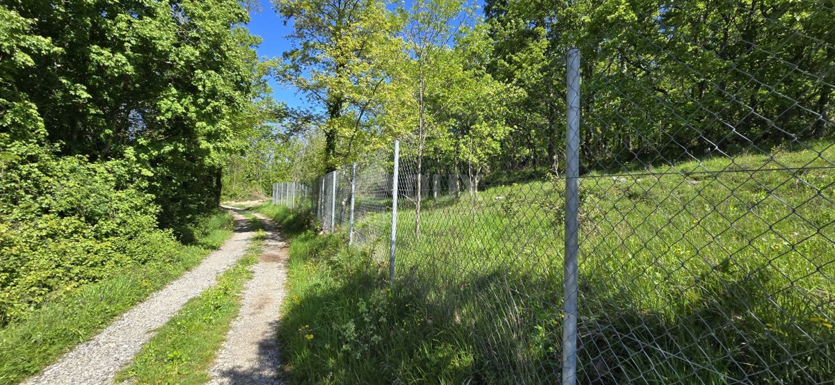 Pićan, 3.454m2