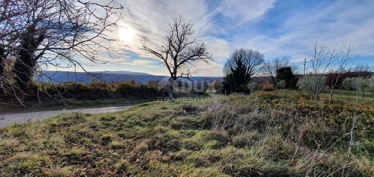 ISTRA, BARBAN - Zemljišče z pravnomočnim gradbenim dovoljenjem in plačano komunalo, lep pogled vse do morja