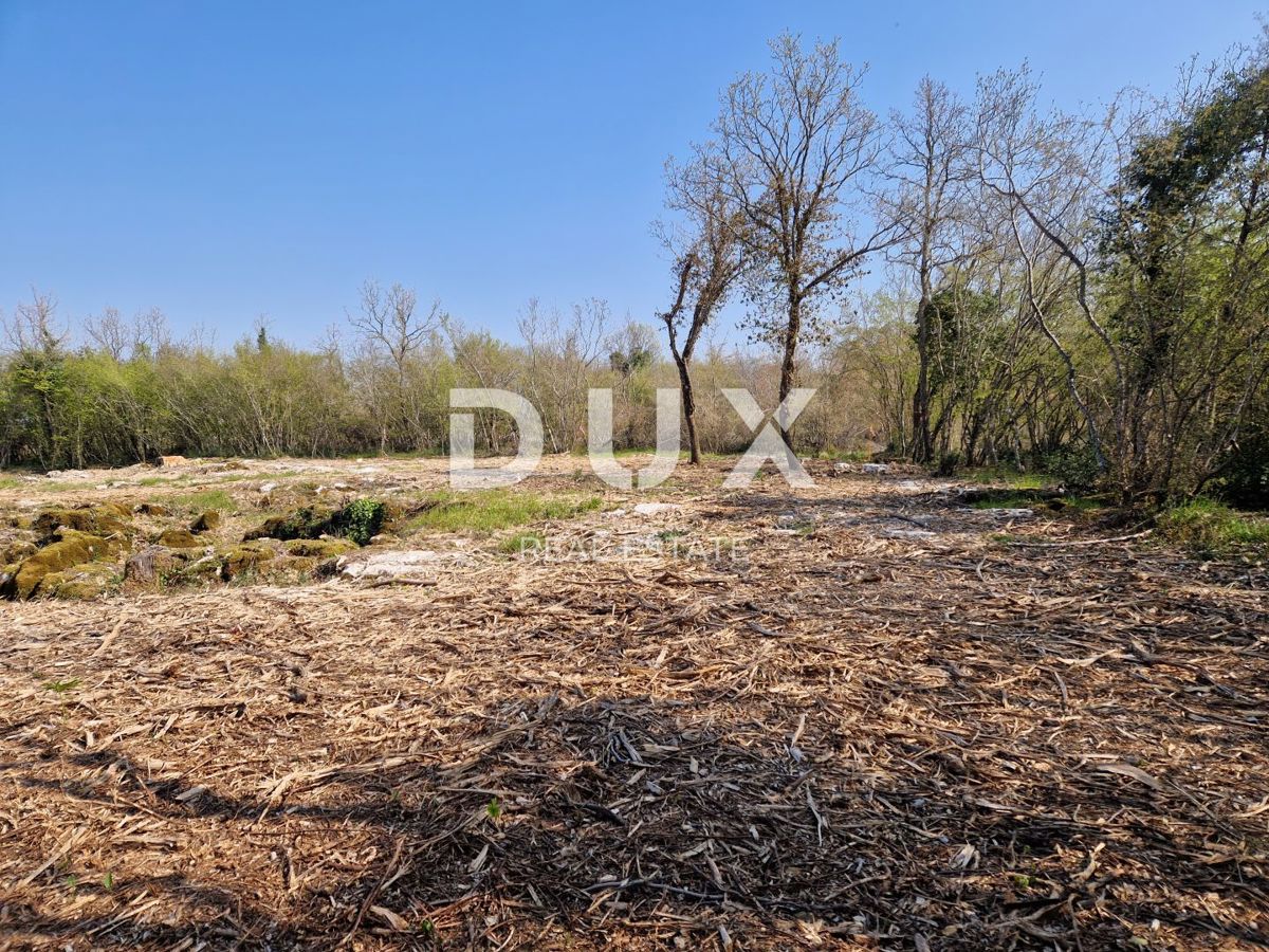 ISTRA, POREČ - Zadnji kompleks zemljišč v coni gradnje