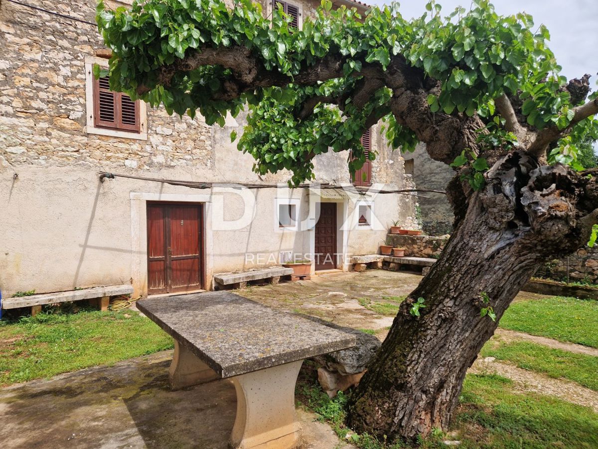 ISTRA, NOVIGRAD - Kamnita lepotica v mirni vasici