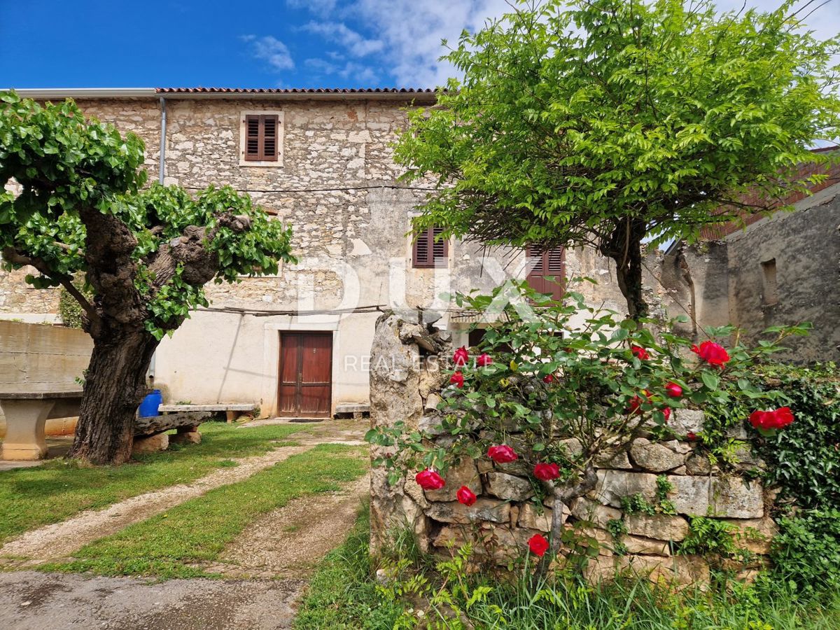 ISTRA, NOVIGRAD - Kamnita lepotica v mirni vasici