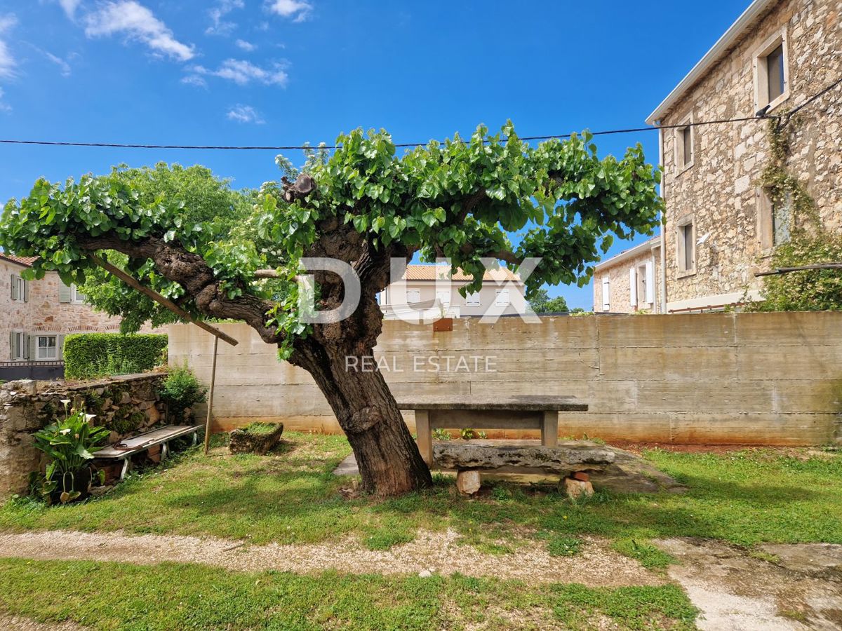 ISTRA, NOVIGRAD - Kamnita lepotica v mirni vasici