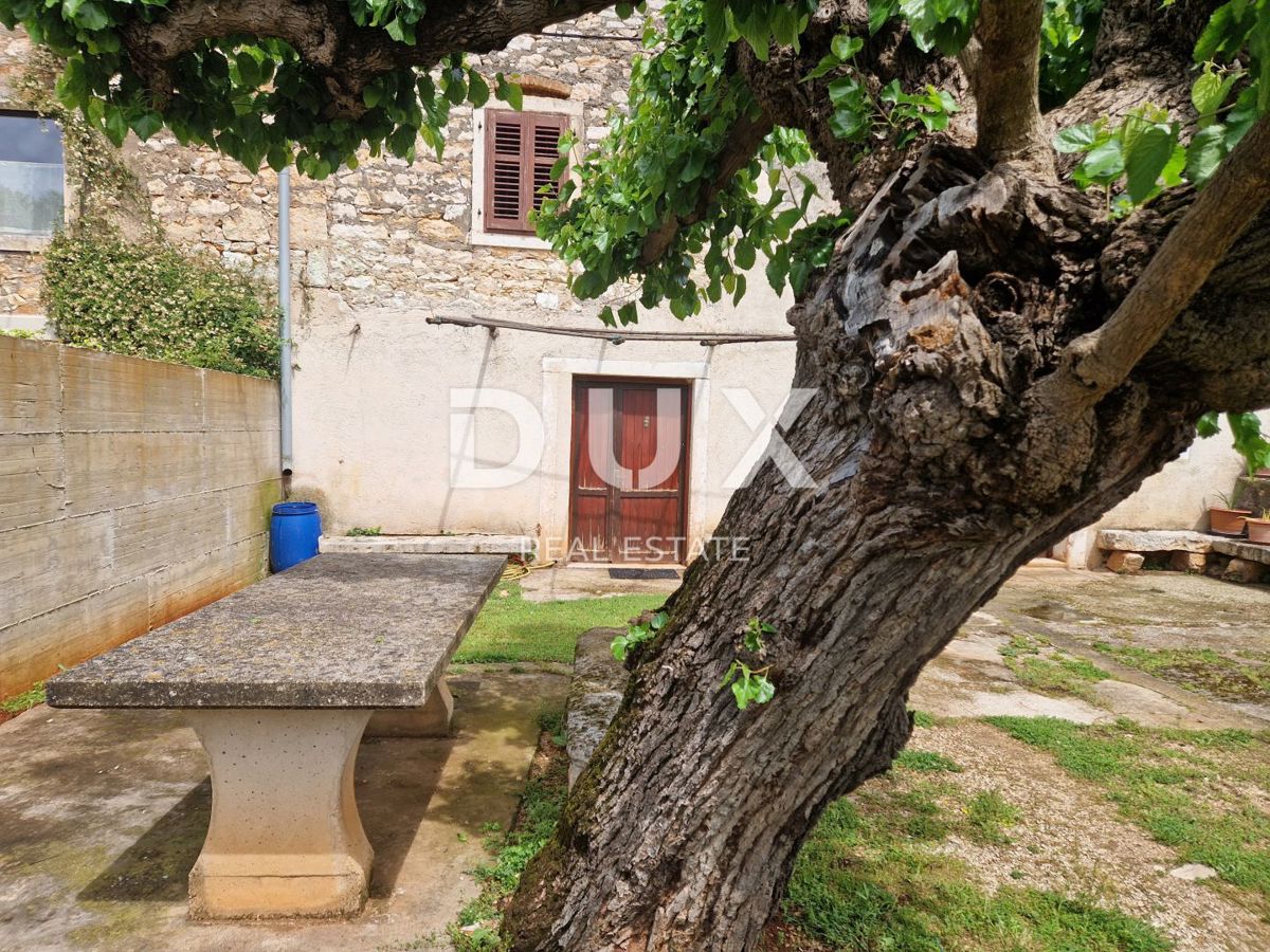 ISTRA, NOVIGRAD - Kamnita lepotica v mirni vasici