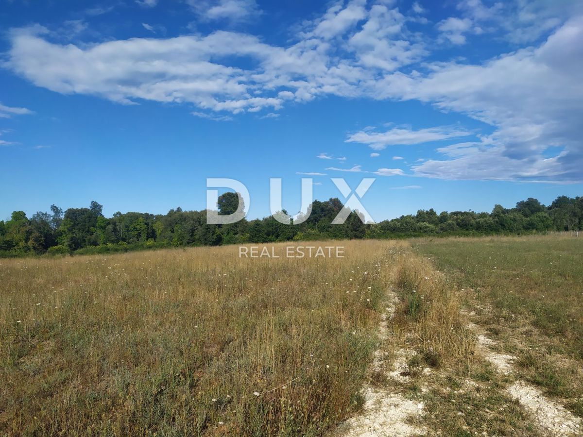 ISTRA, ŠIŠAN - kmetijsko zemljišče 800m2