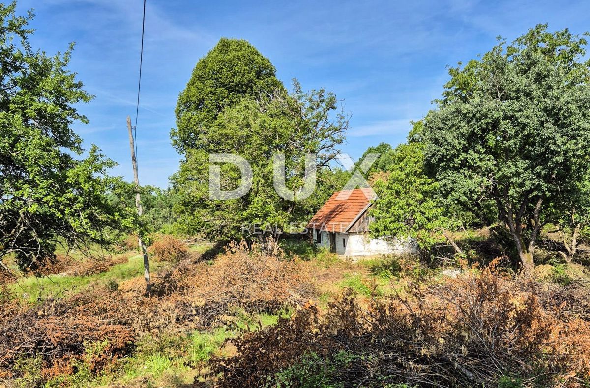SLUNJ, TRŽIĆ - 77.083 m2 zemljišča s hišo, investicijska priložnost